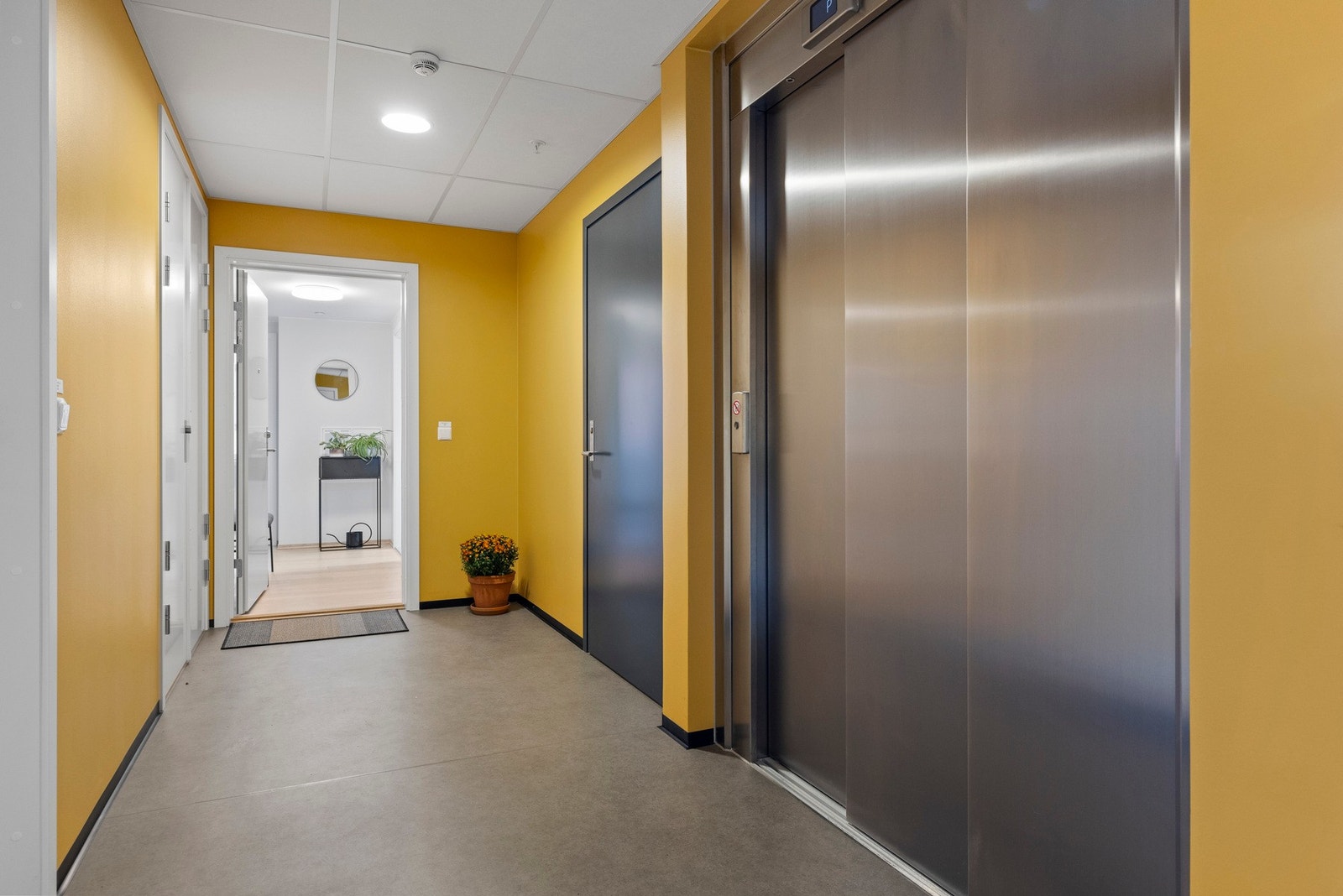 Sportsbod i kjeller - og en ekstra bod i samme etasje. Galleribilde