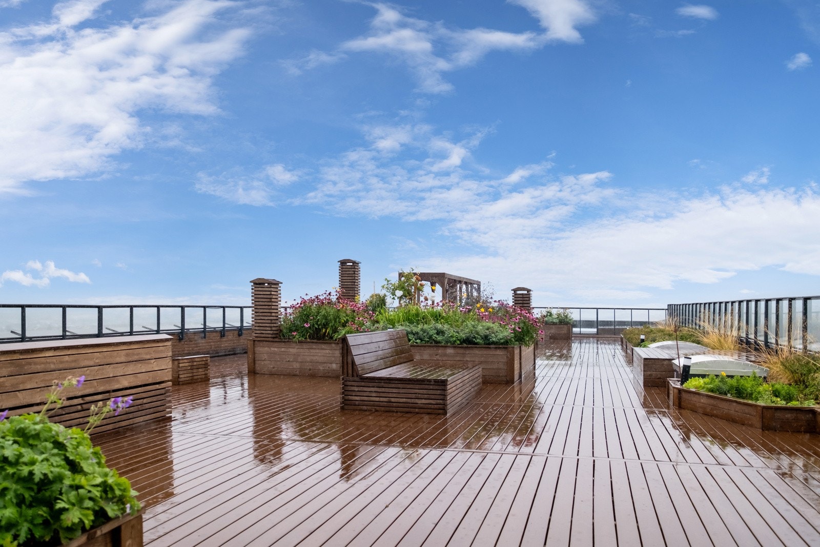 Felles takterrasse Galleribilde