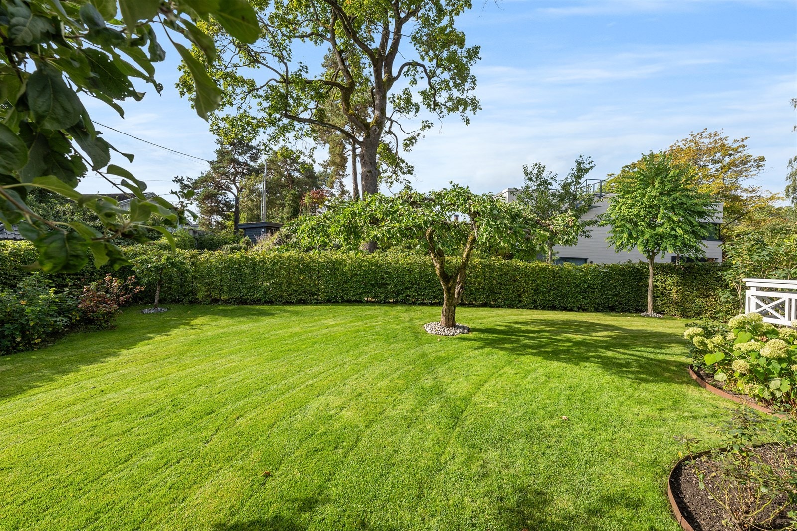 God plass til trampoline eller huskestativ - perfekt for lek og aktivitet. Galleribilde