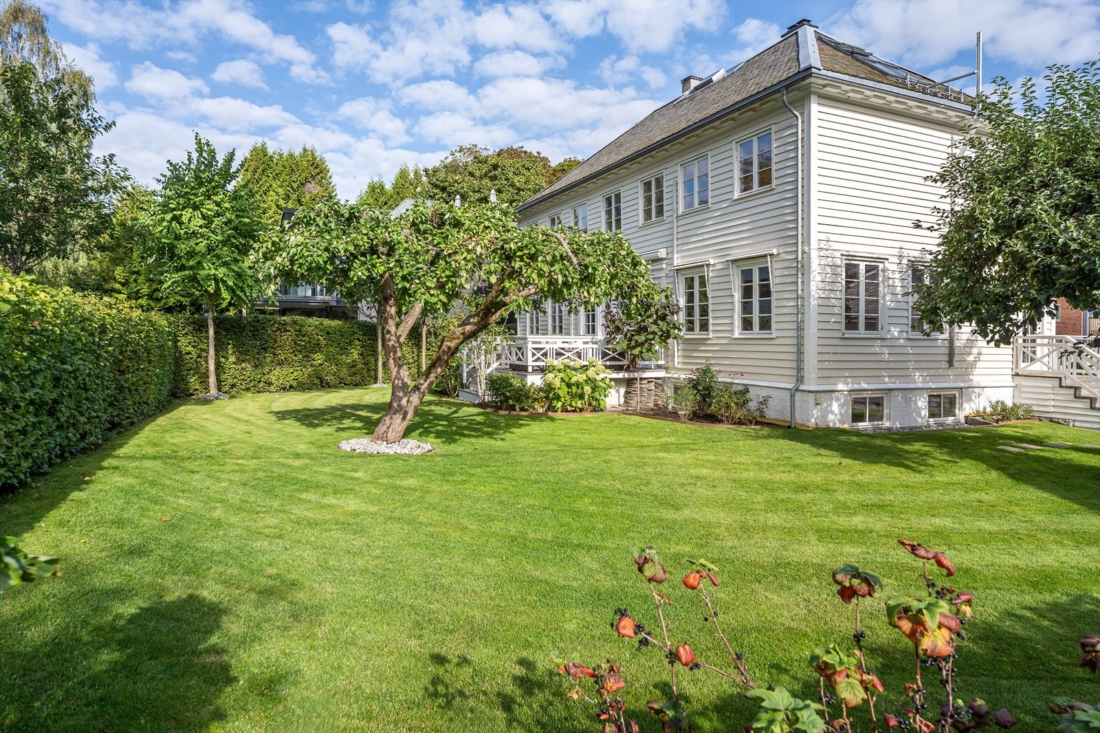 Den sydvendte beliggenheten sikrer gode solforhold gjennom hele dagen. Galleribilde