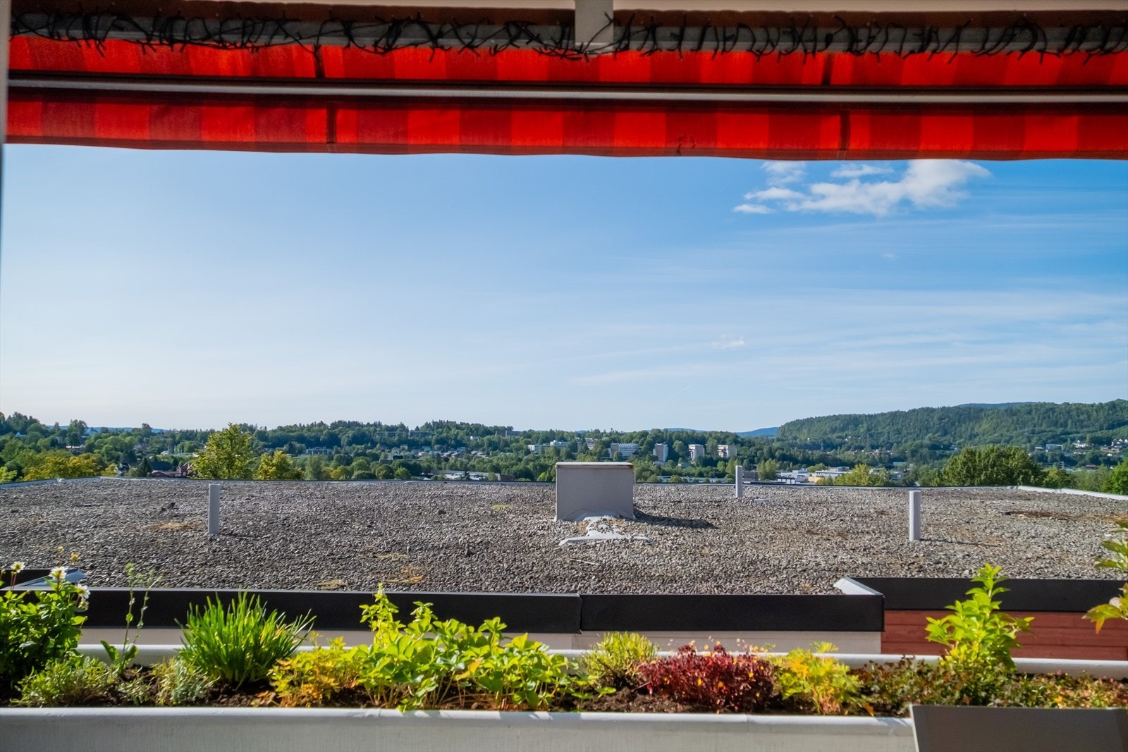 Kort vei til Kirkerudbakken - perfekt for den skiinteresserte eller turglade om sommeren. Galleribilde