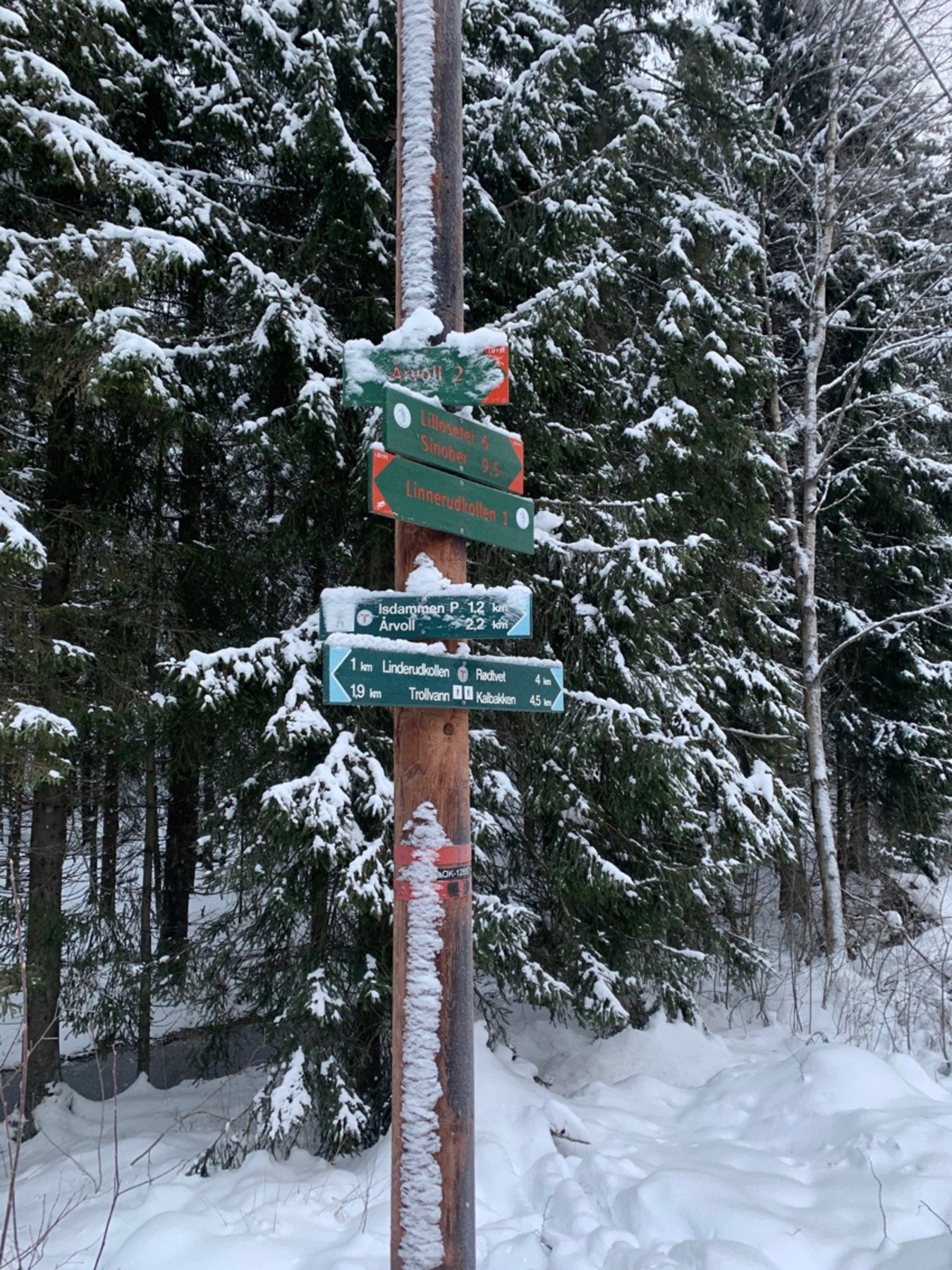 Mulighetene er mange, og variert løypenett ligger tilgjengelig rett utenfor døren Galleribilde