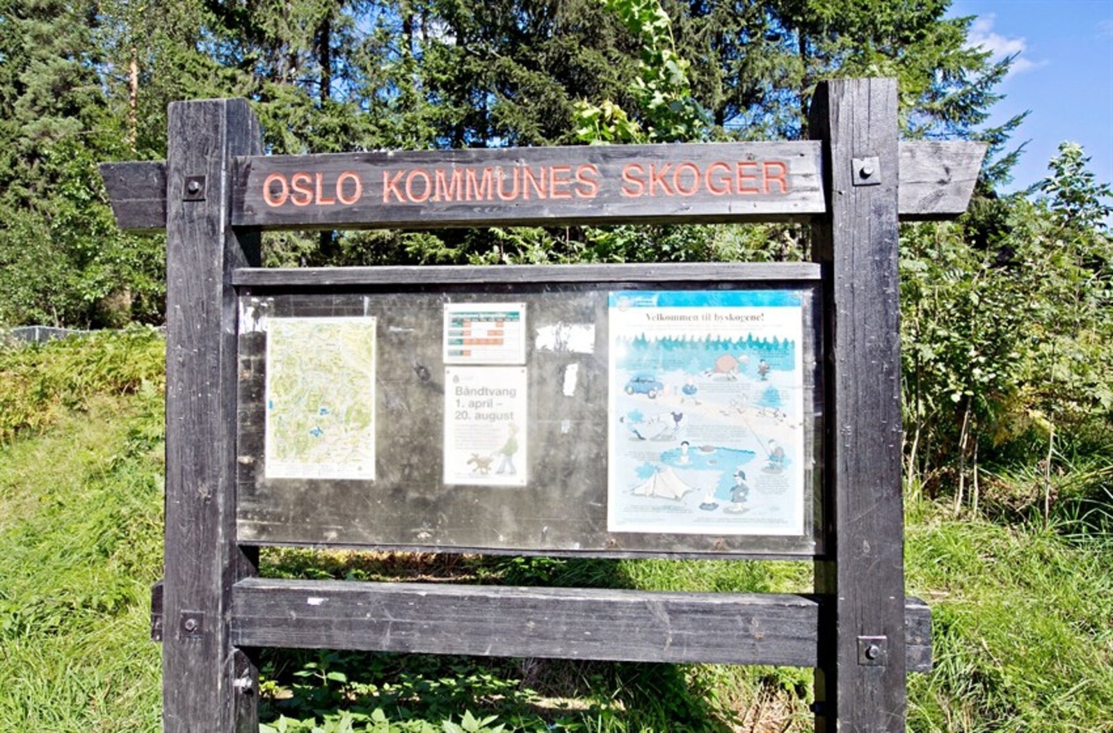 Inngangsporten til Lillomarka ligger rett bak sameiet. Velkommen ut i vakre, grønne omgivelser! Galleribilde