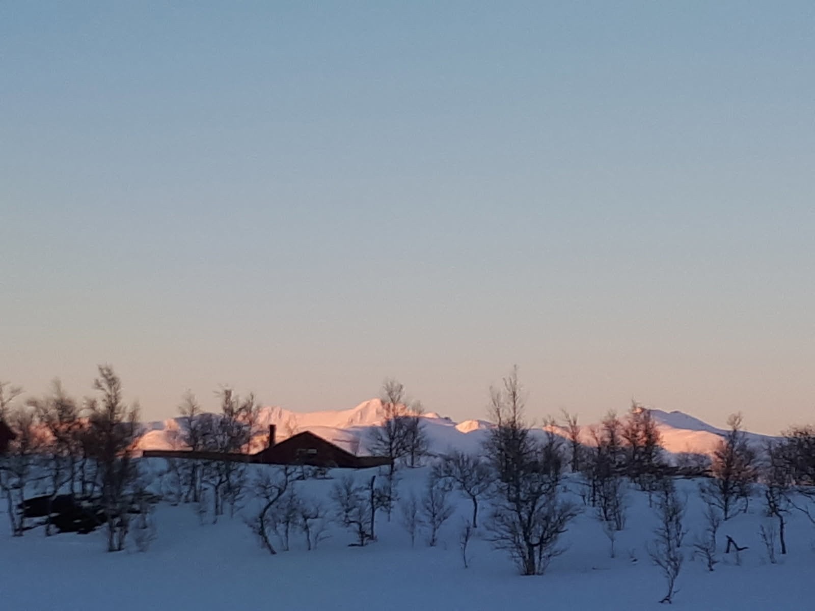 Utsikt. Galleribilde