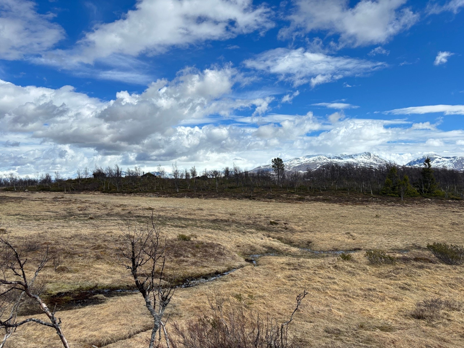 Utsikt mot Skardsfjella Galleribilde