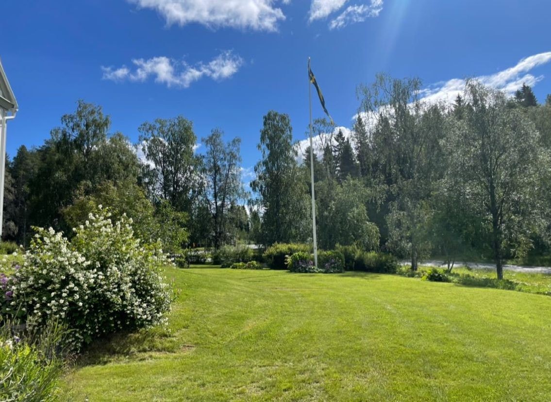 Stor uppväxt tomt på 4.000 m2 Galleribilde