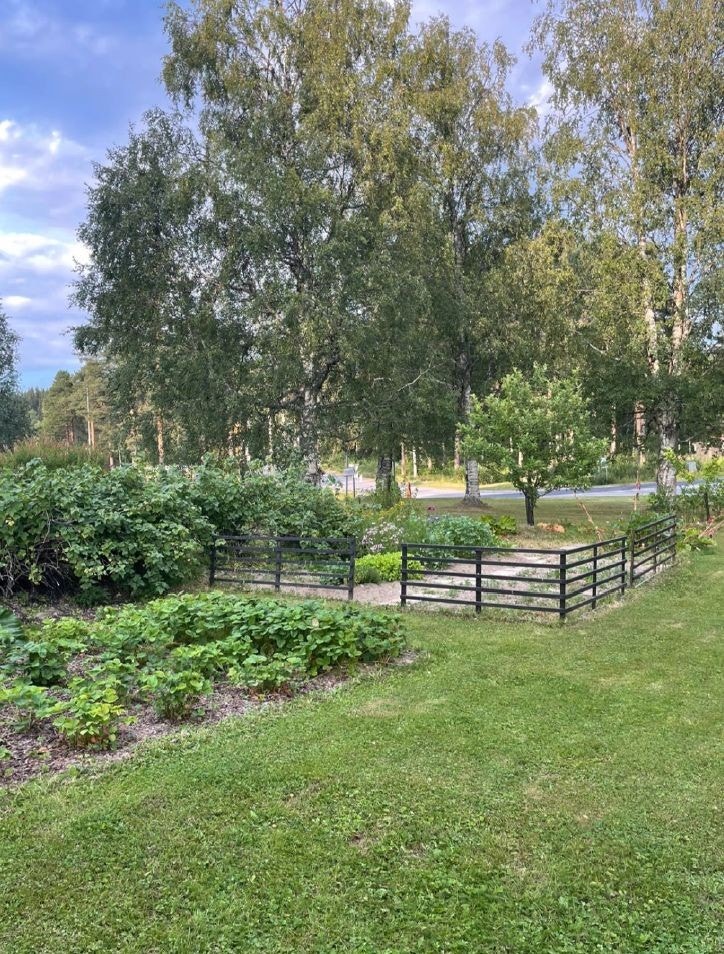 Stor uppväxt tomt på 4.000 m2 Galleribilde