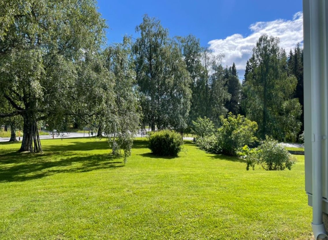 Stor uppväxt tomt på 4.000 m2 Galleribilde