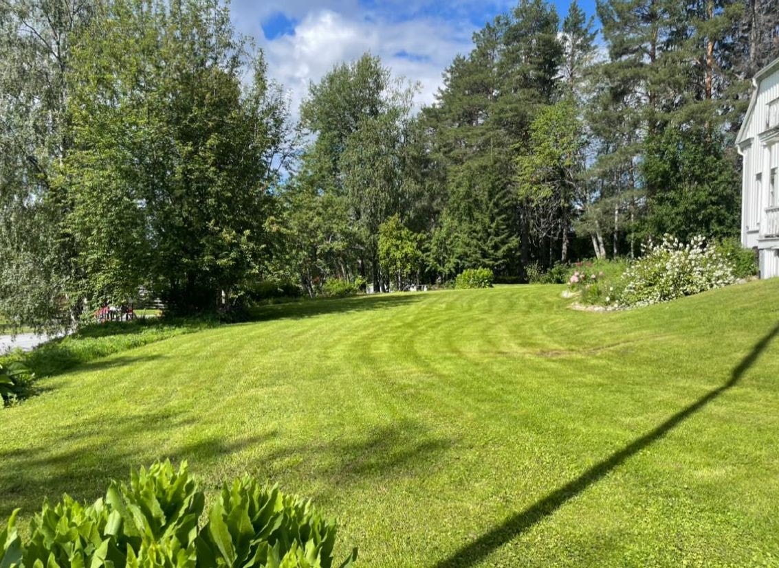 Stor uppväxt tomt på 4.000 m2 Galleribilde