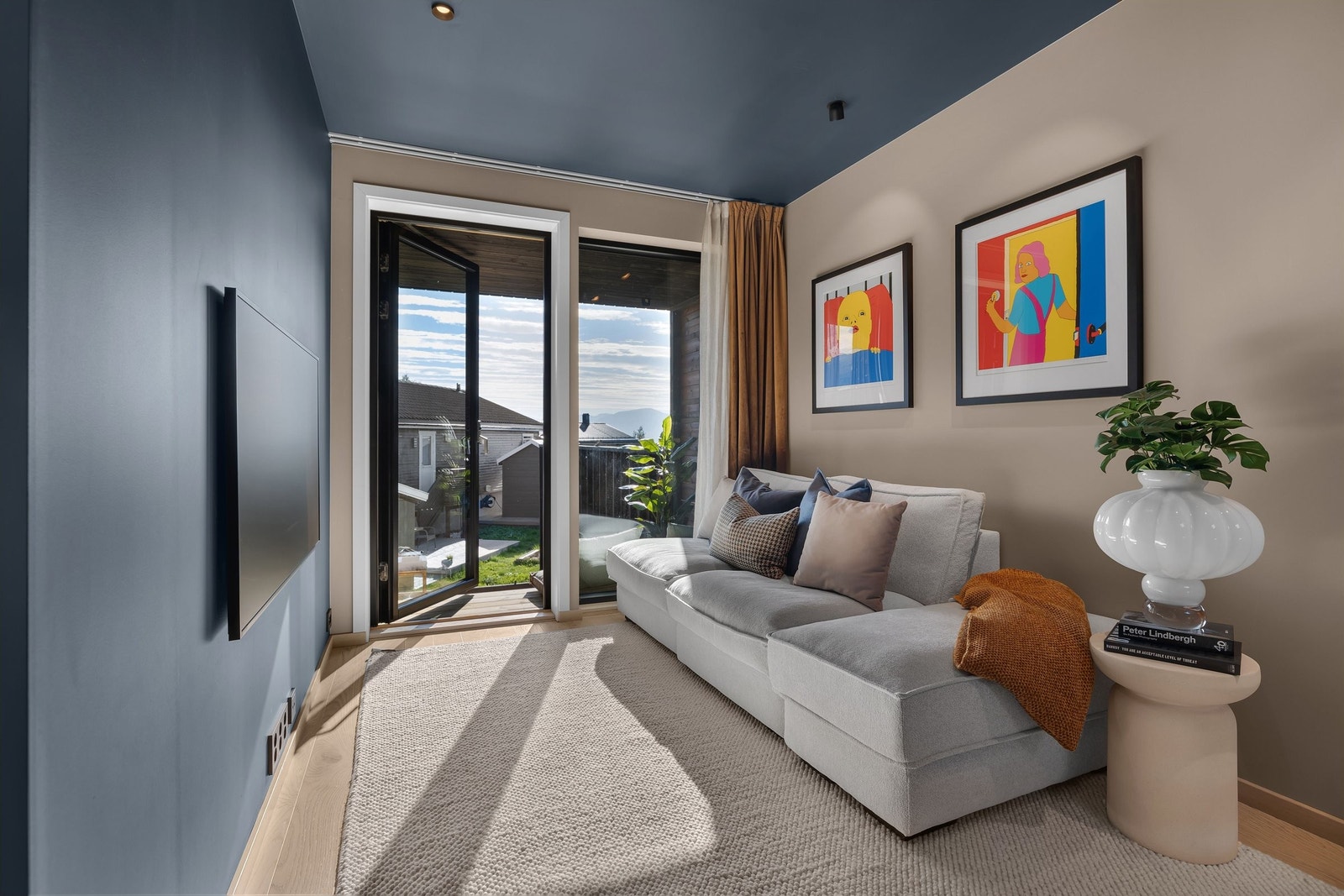 Tv stue Galleribilde