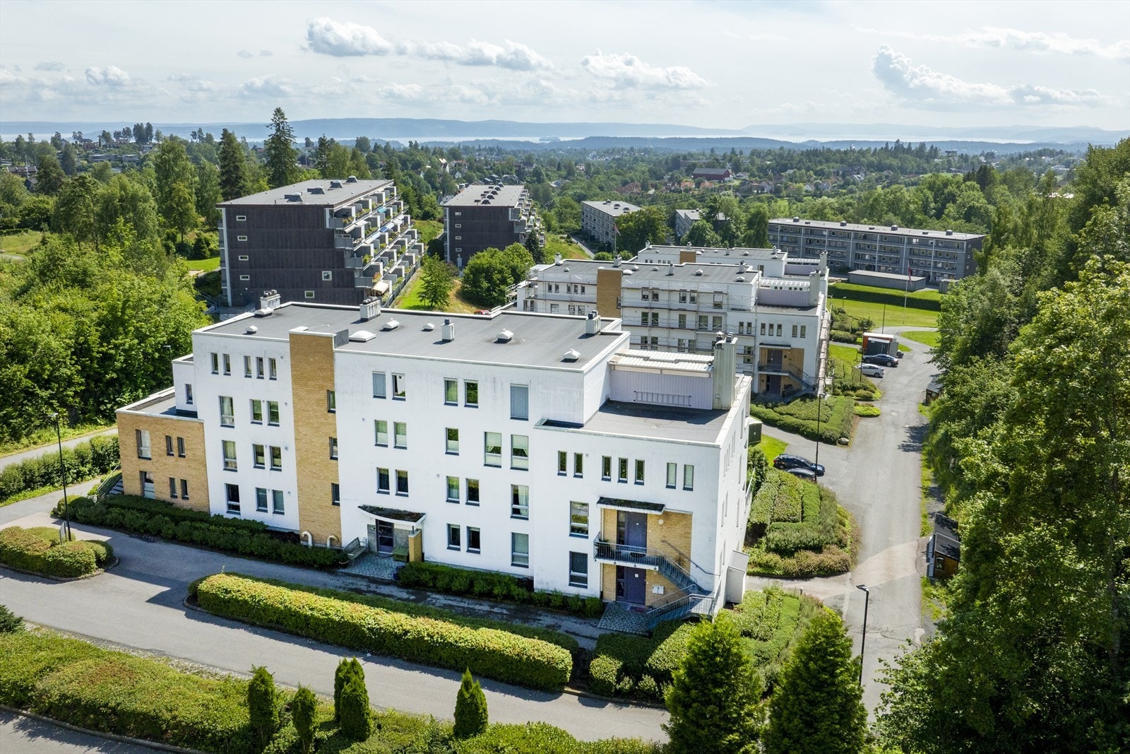 Annet Galleribilde