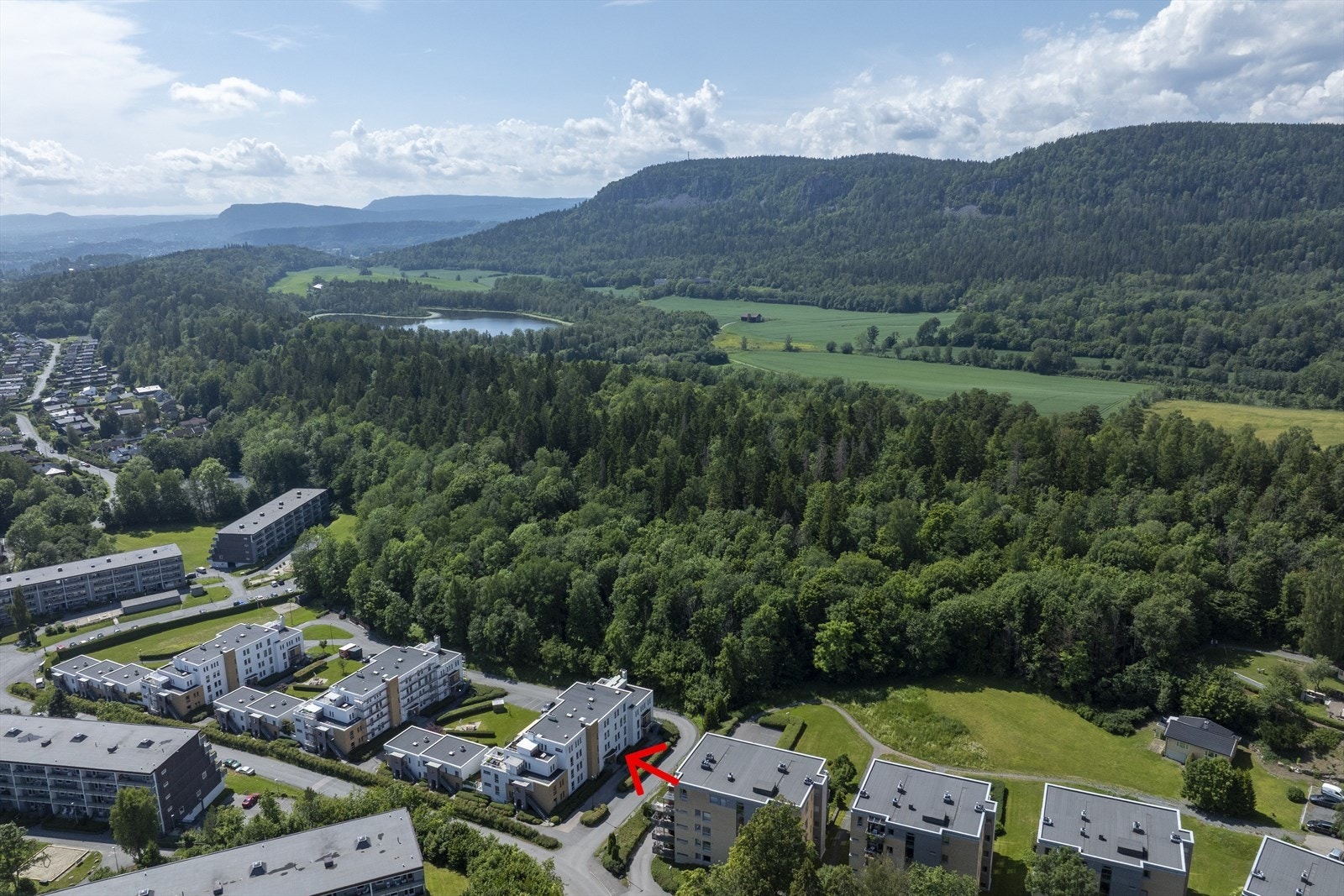 Bare noen få meter fra marka med Dælivann i bakgrunnen Galleribilde