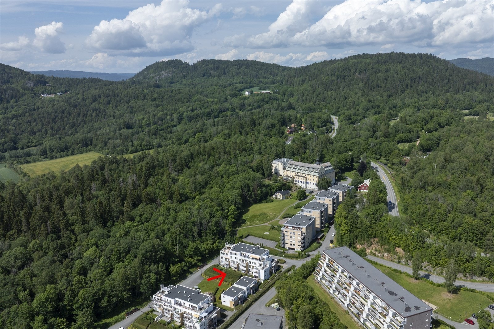 Rett ved fredet skogsterreng Galleribilde