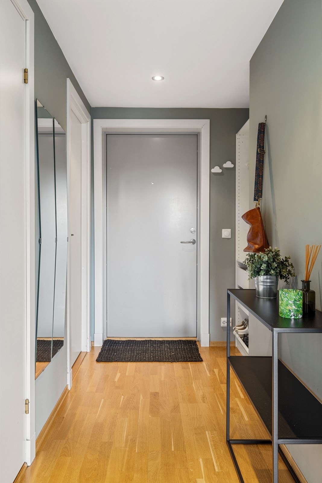 Entréen har god standard med parkett på gulv, glatte overflater malt i 2021, skjult elektrisk anlegg og downlights i himlingen. Galleribilde