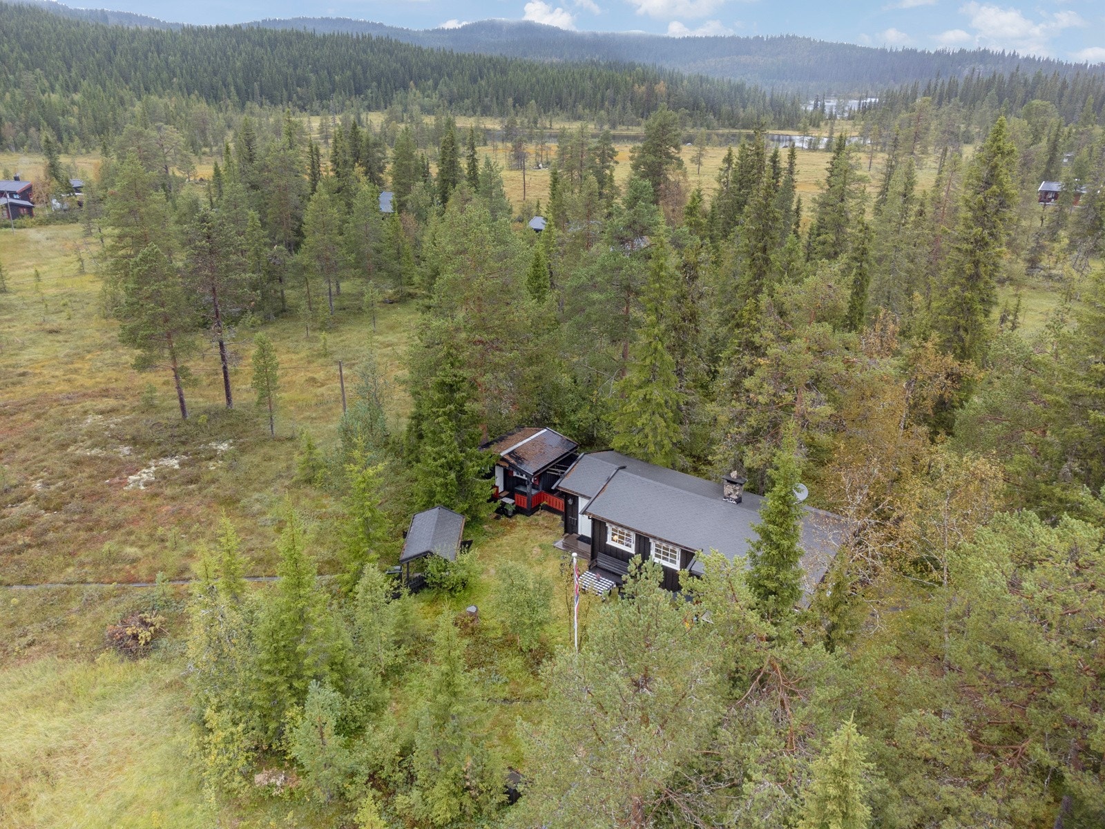 Velkommen til hyggelig visning! Galleribilde