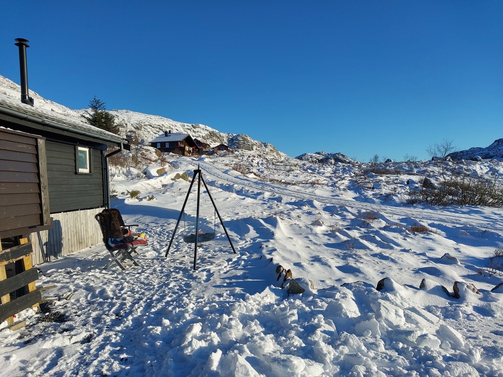 Selgers bilde. Galleribilde