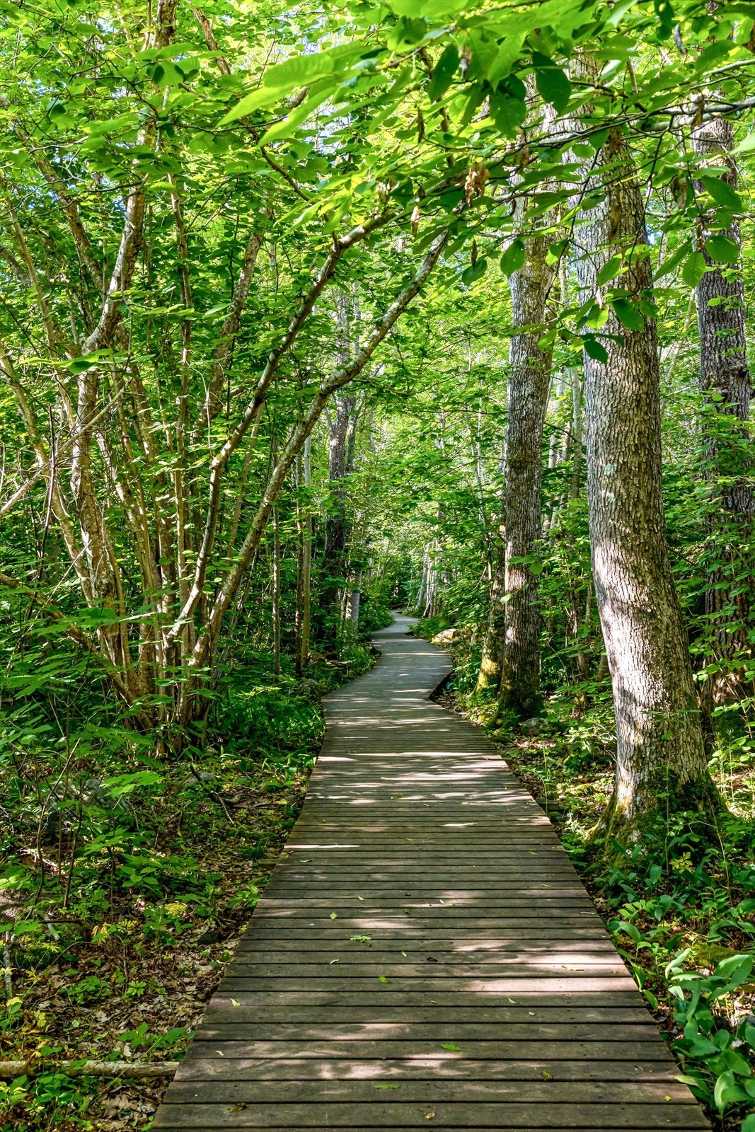 Kyststien på Østerøya byr på 20 km. merket løype for turgåere. Stien er merket fra Kastet innerst i Mefjorden og fra Røyseløkka. Store deler av kyststien er privat vei, hytteadkomst eller driftsvei i landbruksnæringa. Galleribilde