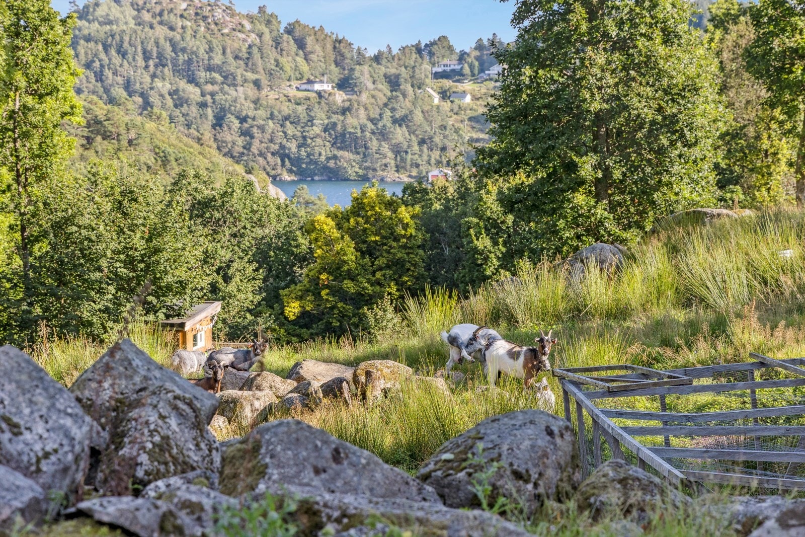 Fra eiendommen er det gløtt ned til sjøen. Galleribilde
