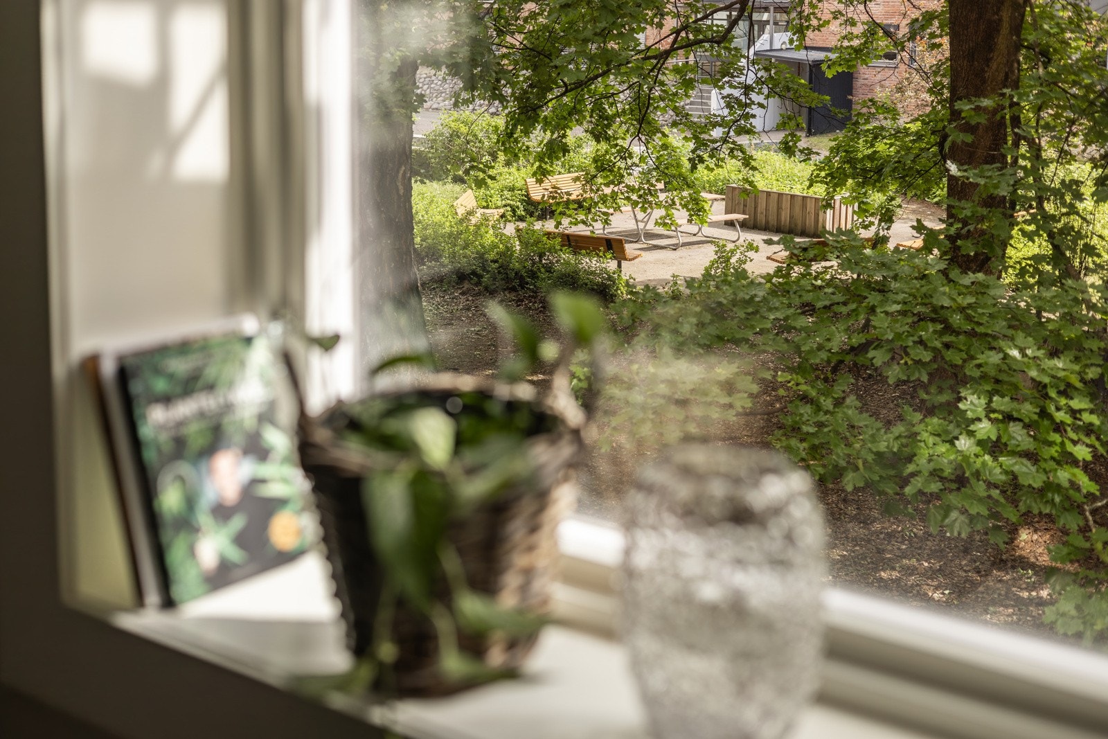 Her er du godt skjermet for trafikk og støy samtidig som du har en frodig utsyn. Galleribilde