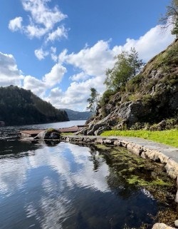 Badevik | Bilde tatt av hjemmelshaver. Galleribilde