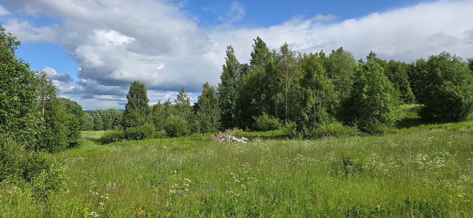 Vita huset Galleribilde