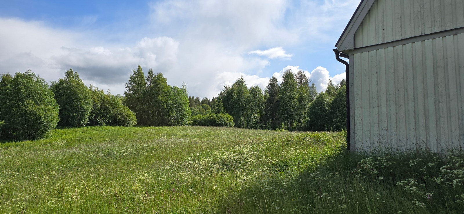 Vita huset Galleribilde