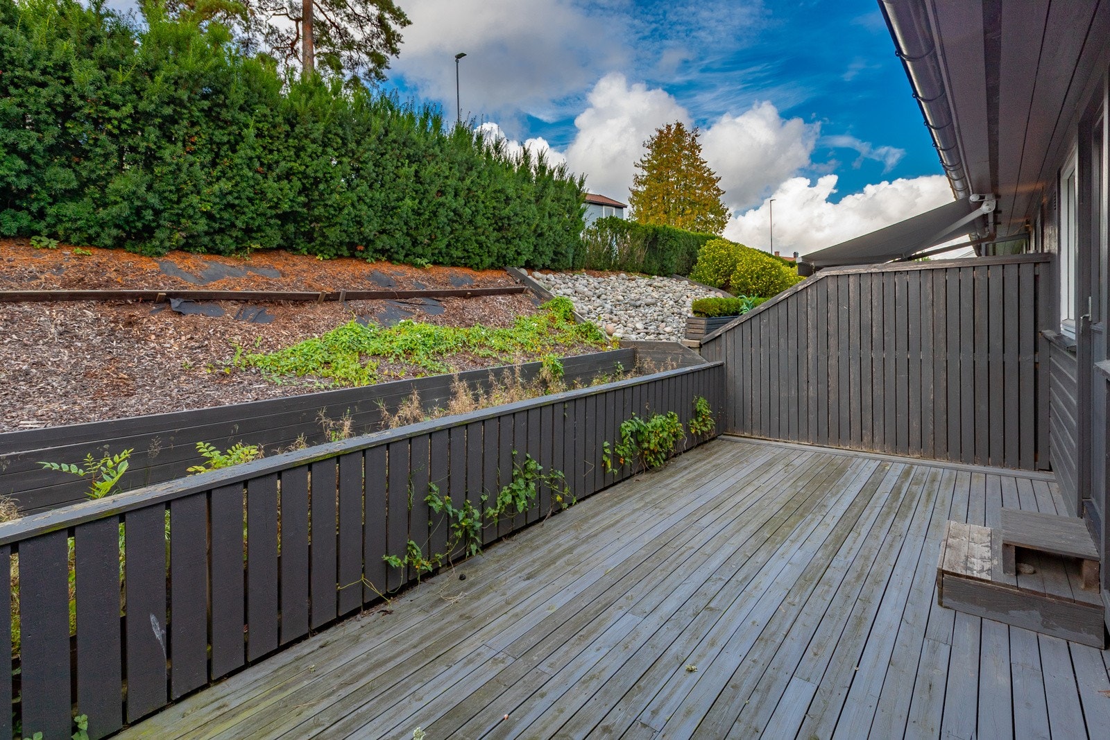 Terrasse mot vest Galleribilde