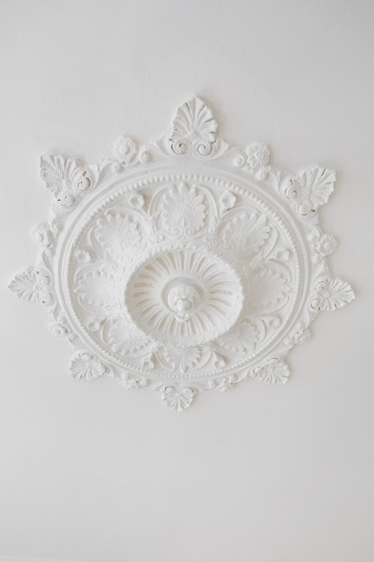 Vakker rosett og stukkatur i himling. Galleribilde