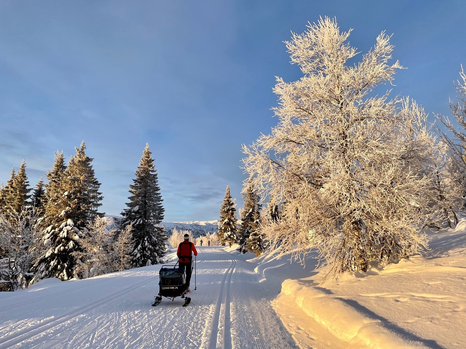 Vår, sommer og høst inviterer naturområdene rundt til fotturer, toppturer, fjellfiske eller sykling. Galleribilde