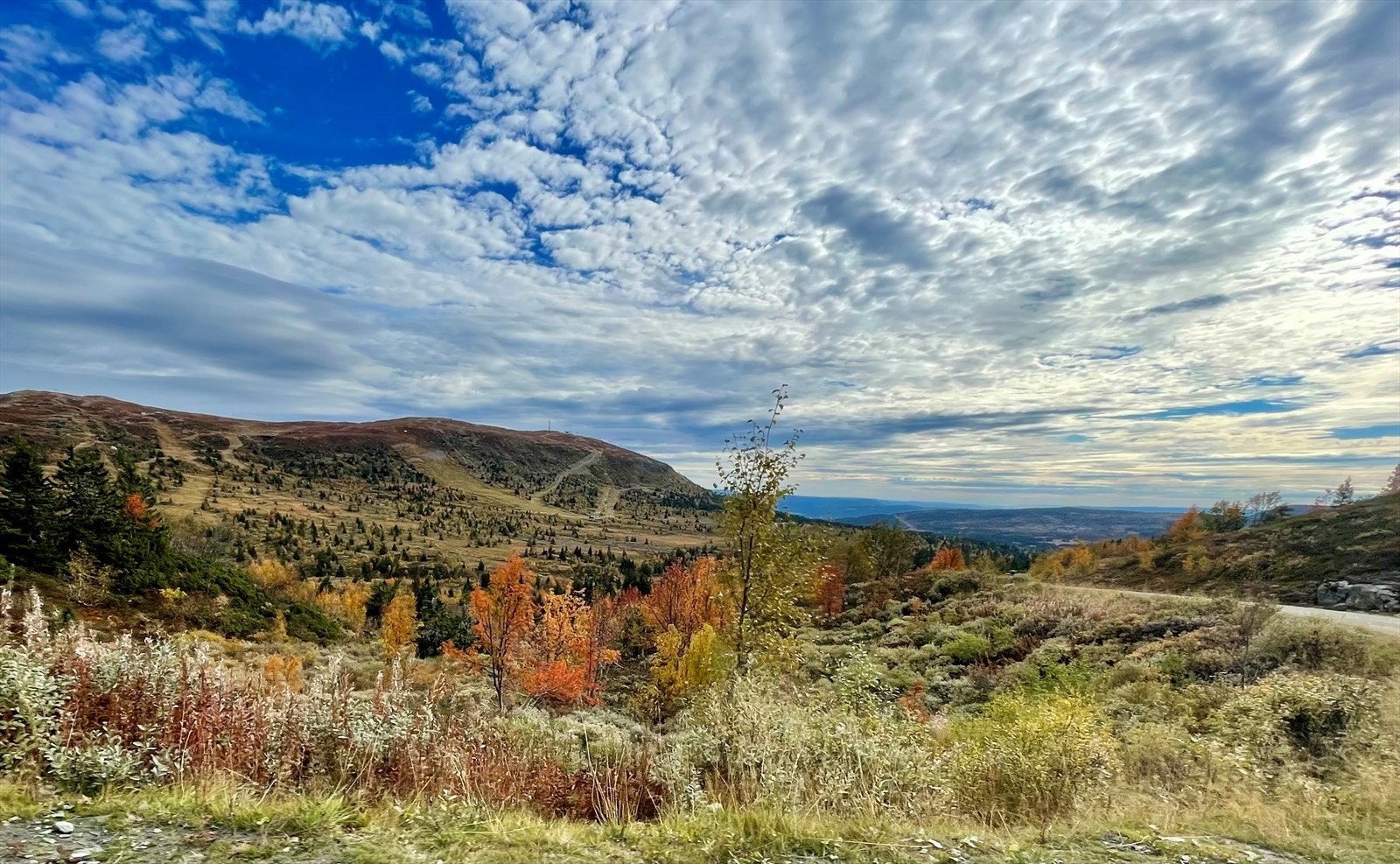 Flotte turmuligheter på høsten. Galleribilde