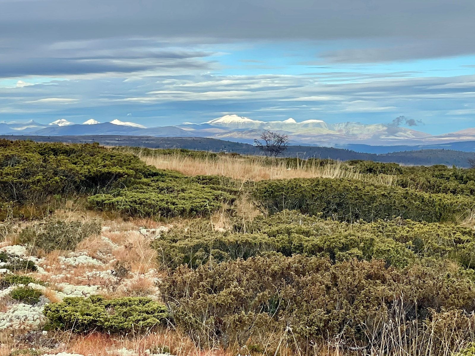 Skeikampen er koselig hele året. Galleribilde