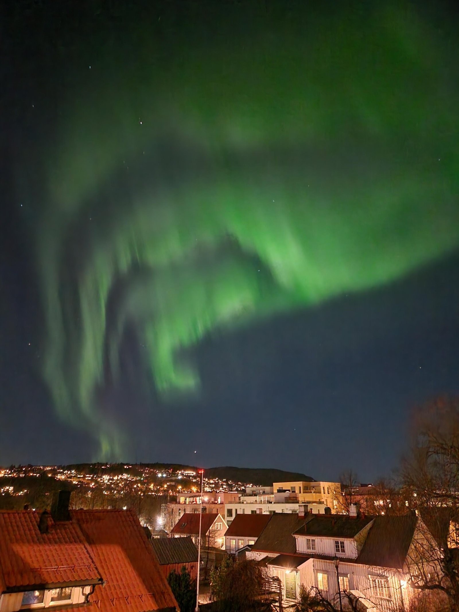 Selgers bilde av nordlyset. Galleribilde