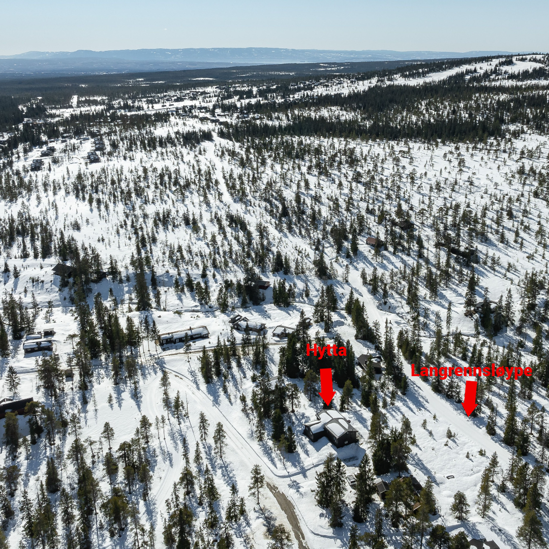 Usjenert beliggenhet, men fortsatt nærhet til langrennsløypa. Galleribilde