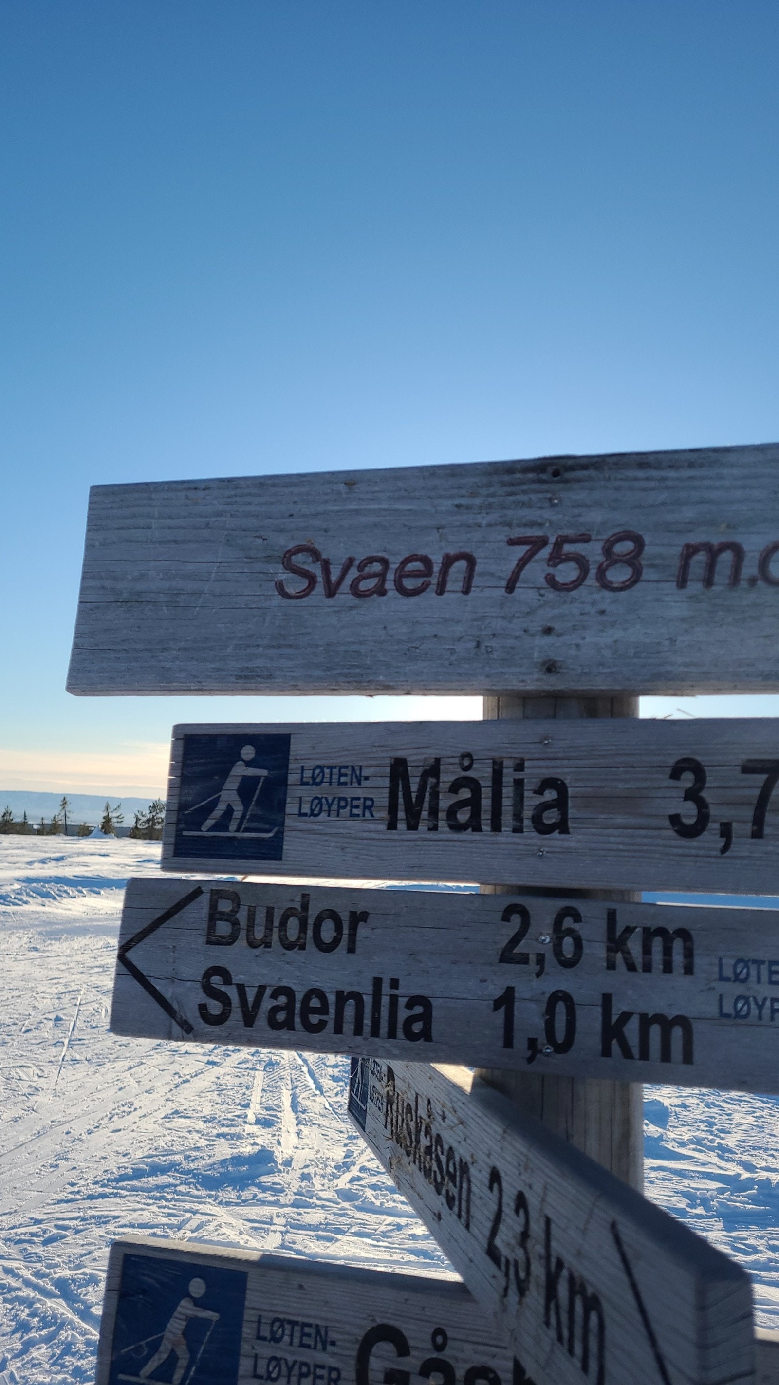 Hedmarksvidda byr på fantastiske skiløyper, perfekt for alle som elsker å nye vinteren på ski. Galleribilde