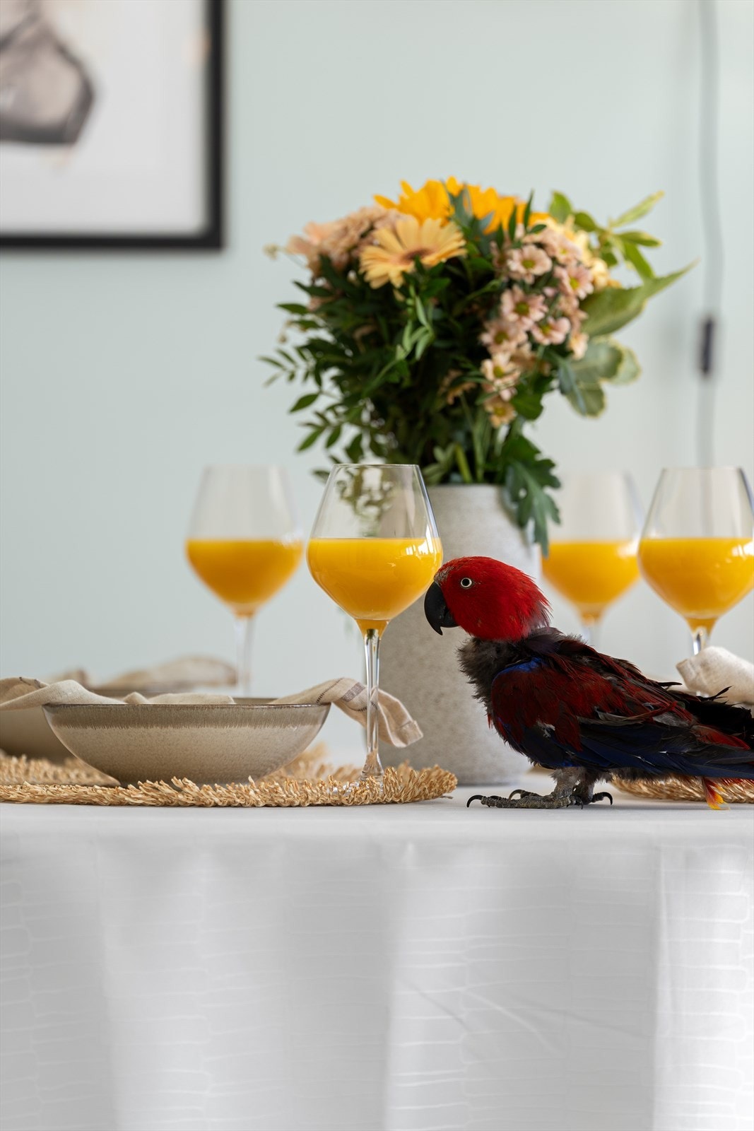 Balaklava 10A - Presentert av Aktiv Moss v/ Helene Ellefsen Galleribilde