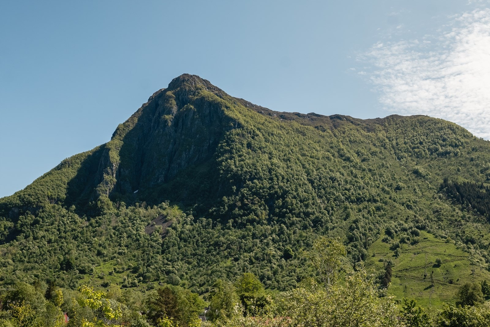 Områdebilder | W Eiendomsmegling. Galleribilde
