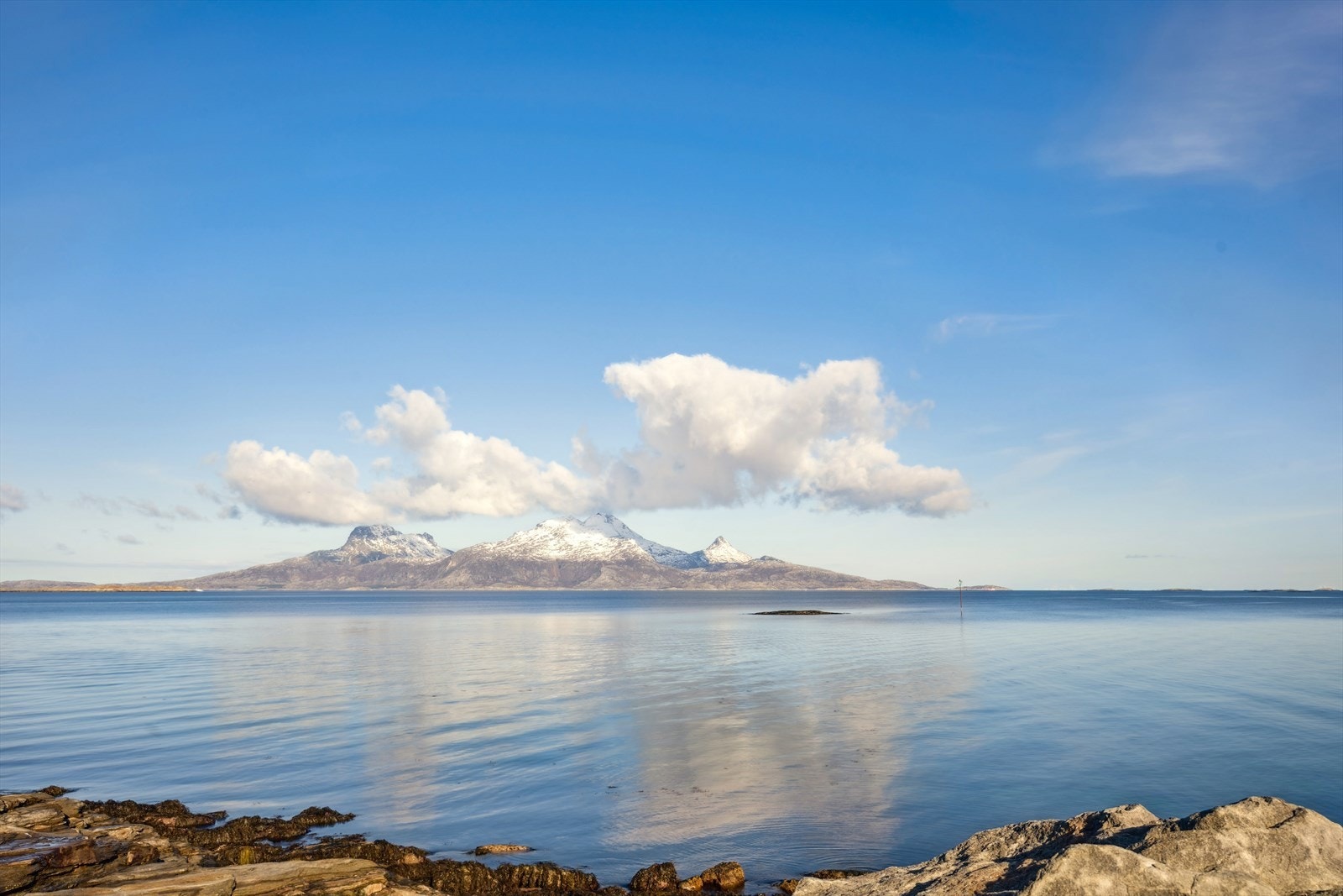 Vakker utsikt. Galleribilde