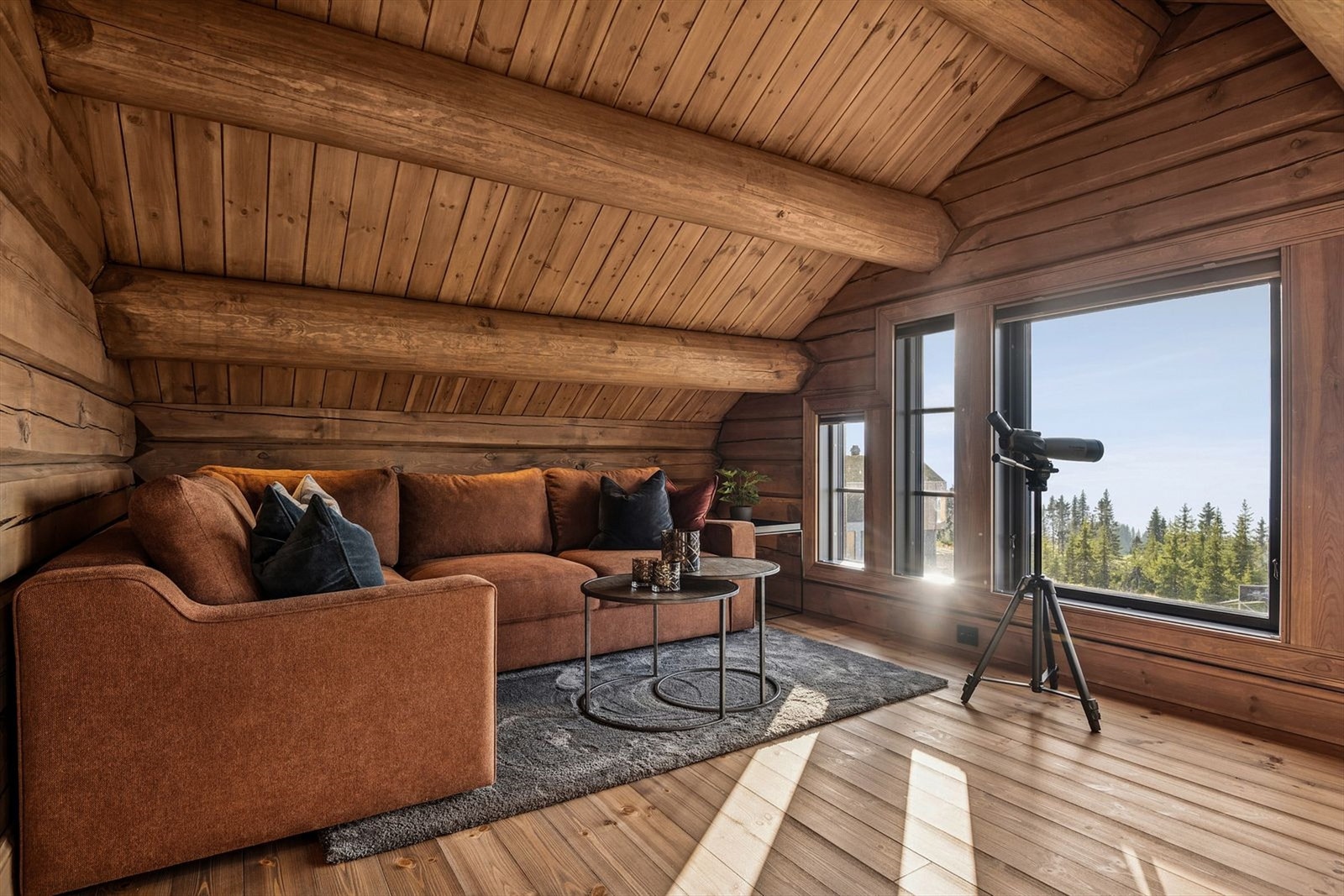 Her er det god plass til både sofa og tilhørende møblement, et perfekt rom for avslapning og sosiale stunder. Galleribilde