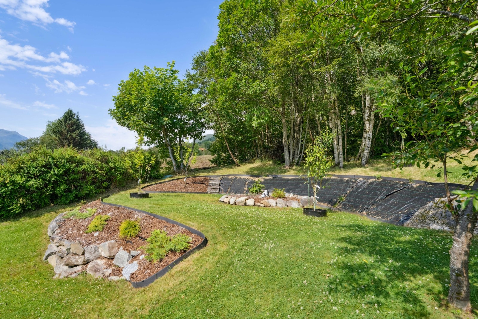 Pent opparbeidet tom med plen, trær og busker Galleribilde