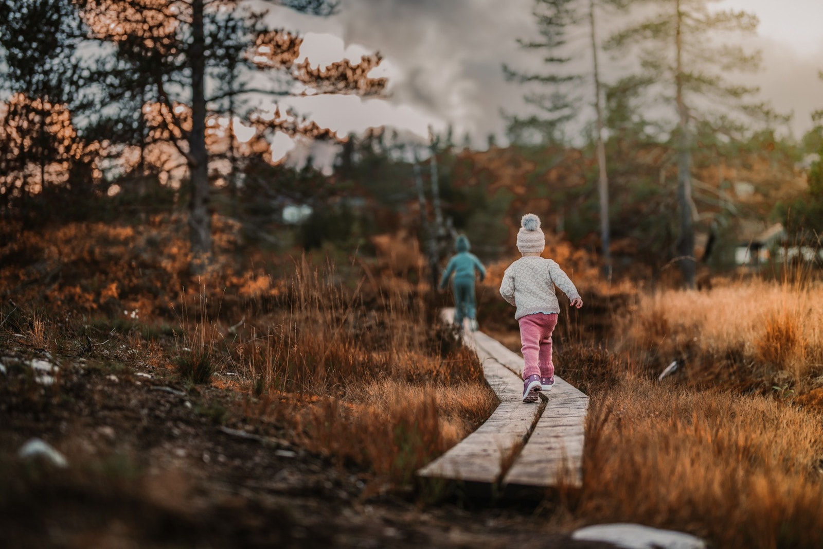 Det er oppmerkede turløyper med klopper og stier Galleribilde