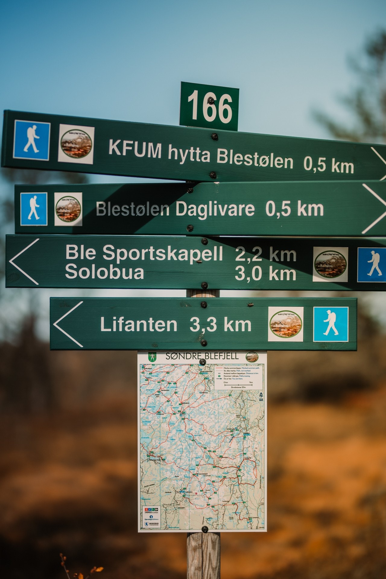 Det er oppmerkede turløyper med klopper og stier Galleribilde