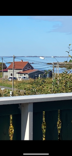 Selgers bilde! Galleribilde