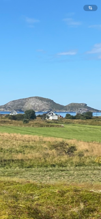 Selgers bilde! Galleribilde