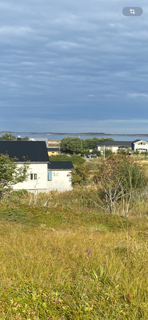 Selgers bilde! Galleribilde