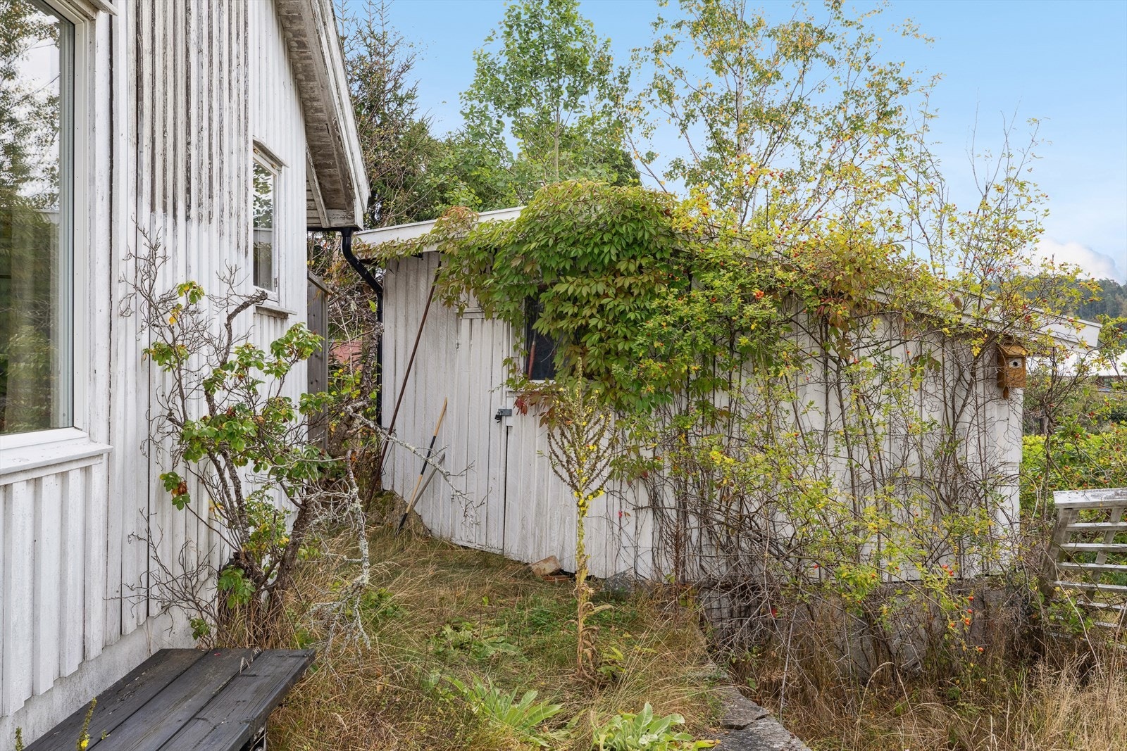 På eiendommen finner du et anneks og en bod. Galleribilde