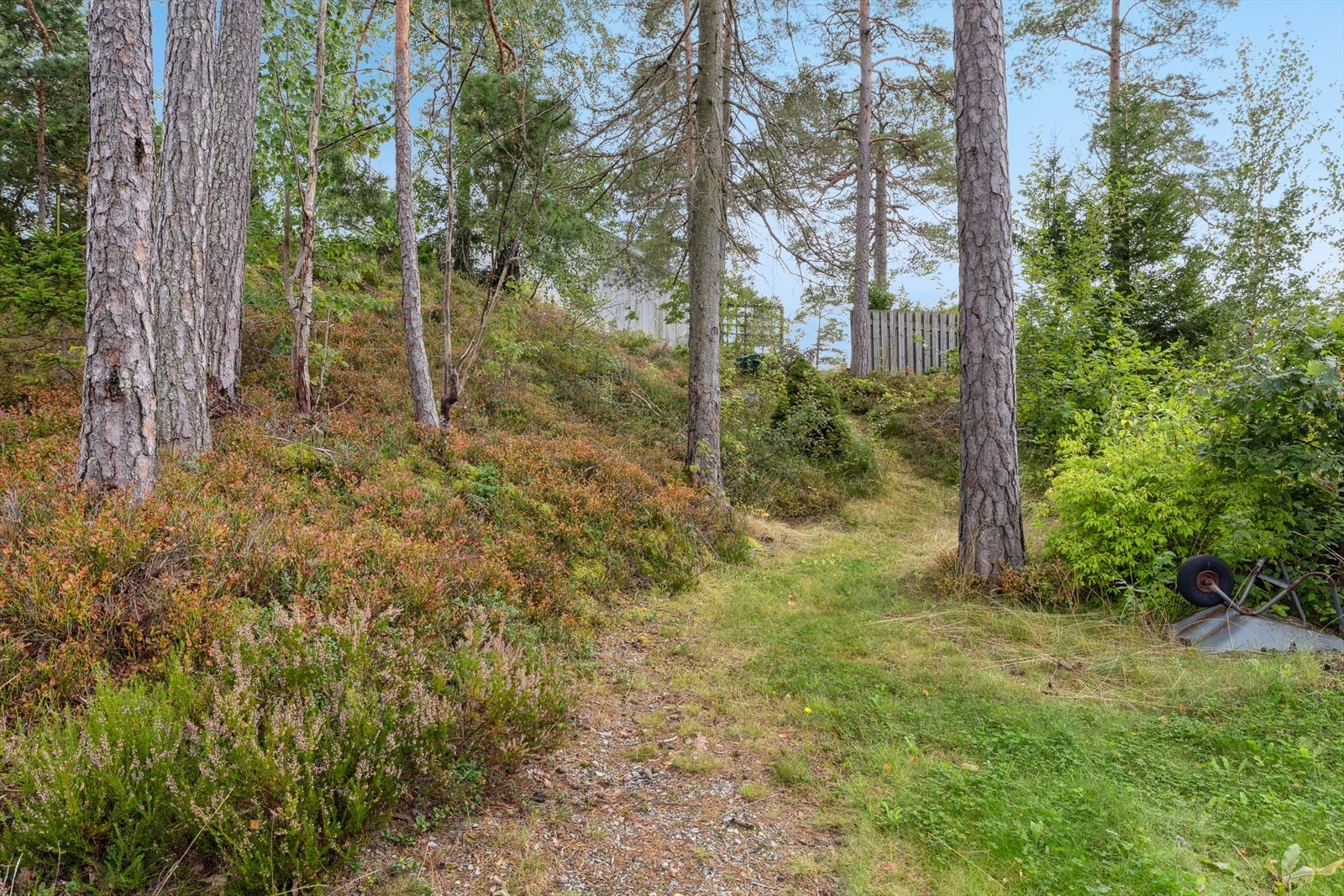 Flott naturtomt med stier, trær og bæbusker. Galleribilde