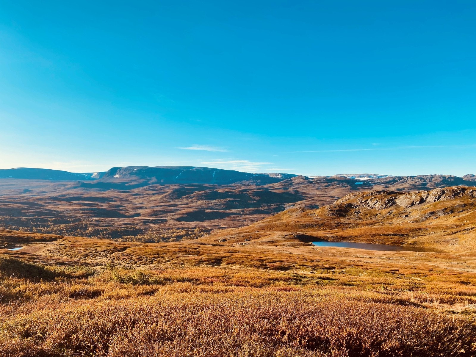 Området på andre siden av vannet for hytta. Galleribilde