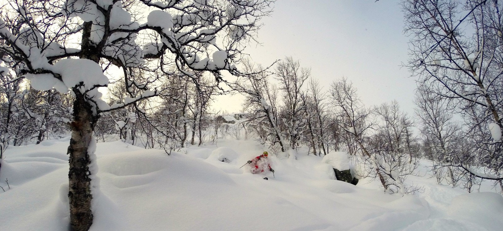 Hallingskarvet skisenter er kjent for gode pudder og snøforhold Galleribilde
