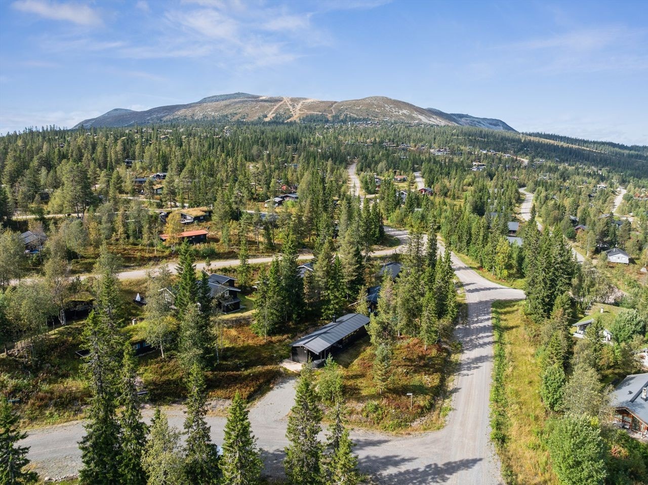 Med Norges største skianlegg, er alt tilrettelagt for fantastiske skiopplevelser. Transporttrase rett på nedsiden av veien. Galleribilde