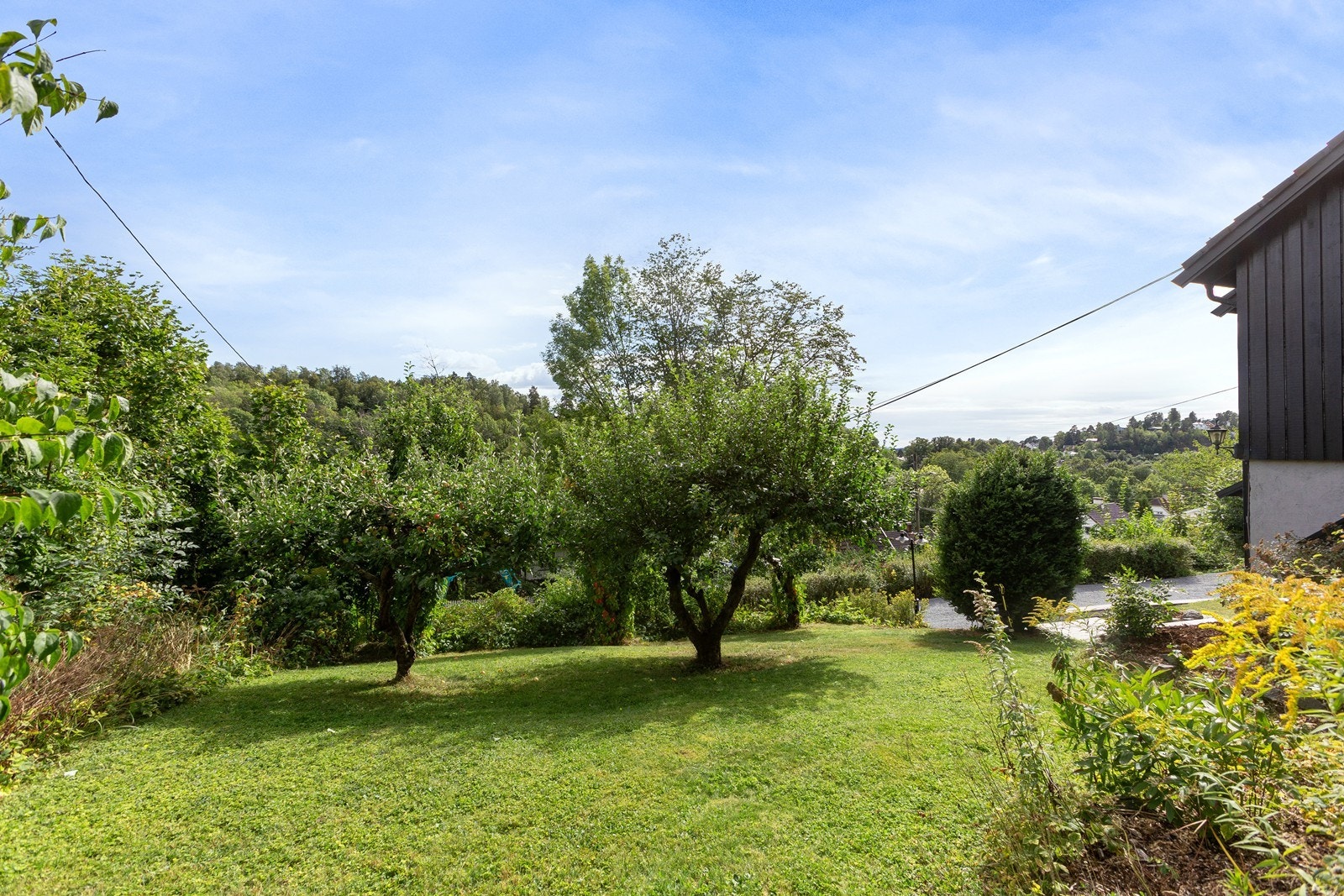 Fint utsyn, og gamle frukttrær i haven Galleribilde